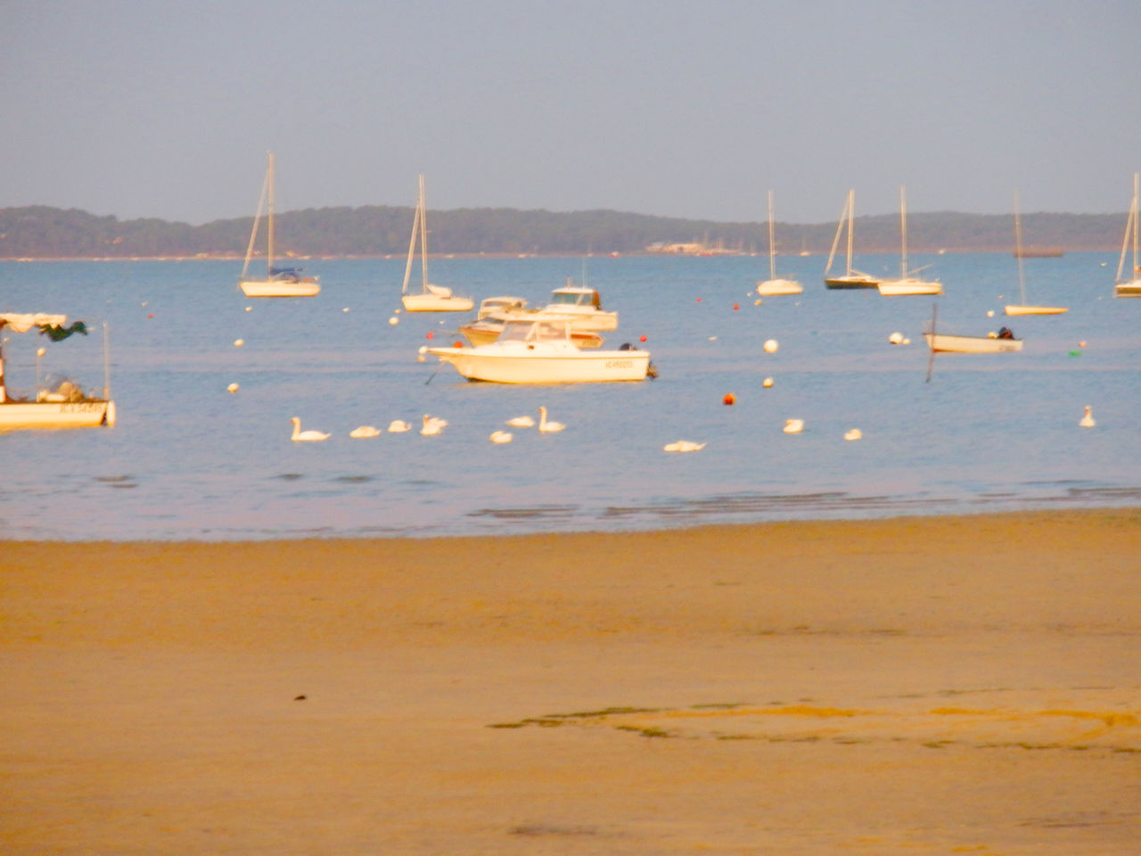 Sandstrand, Boote und Schw�ne auf dem Campingplatz CAPFUN Andernos Les Bains.