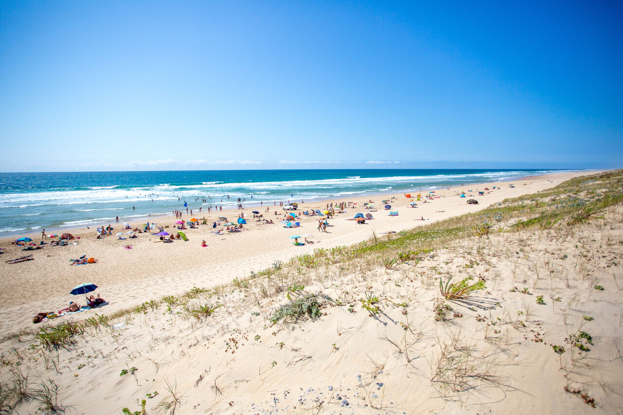 Fine sandy beach, swimmers and ocean at LIBRANOO Naturiste Arnaoutchot campsite, Landes.