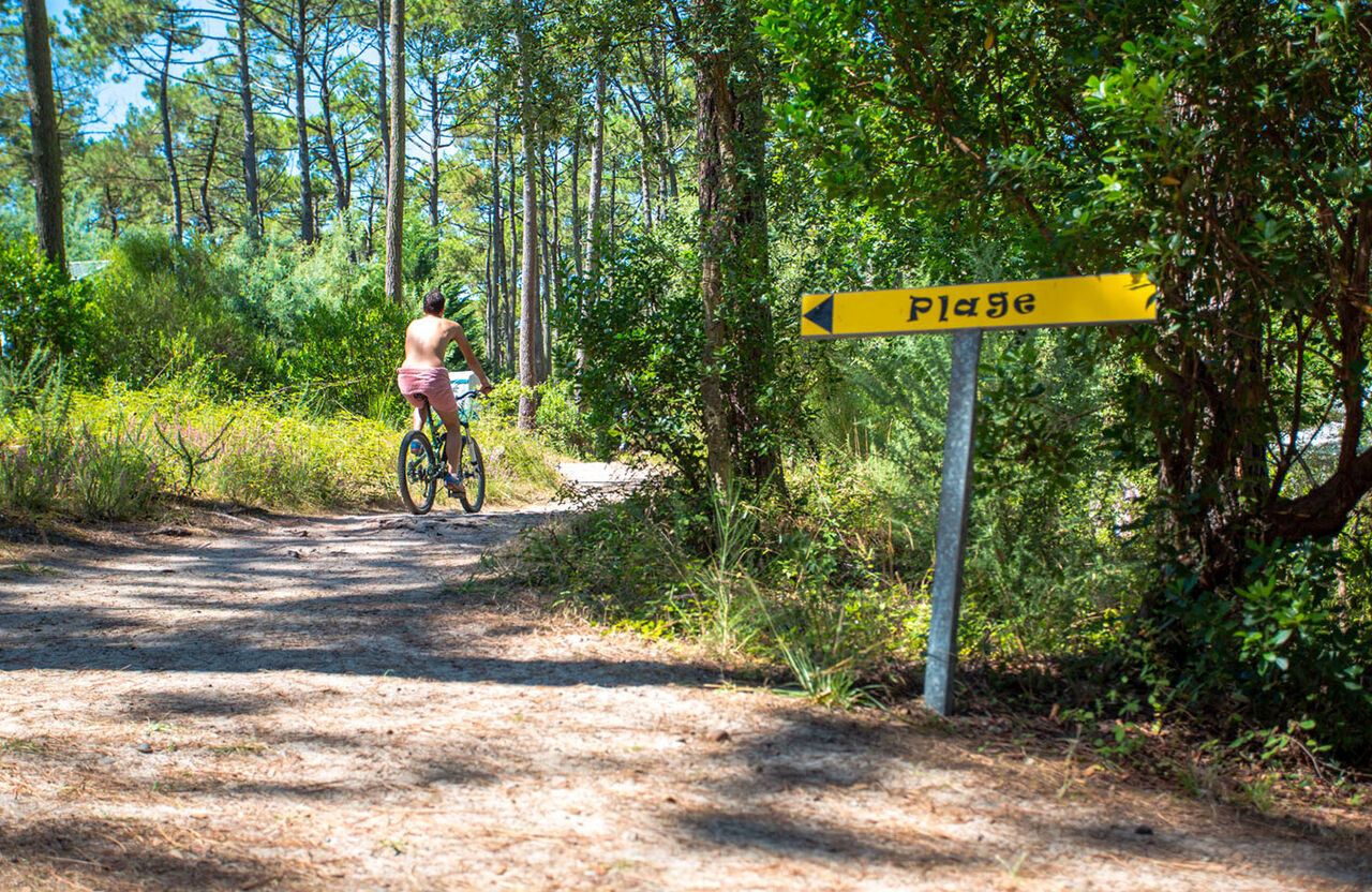Naturist cyclist on forest path towards the beach at LIBRANOO Naturiste Arnaoutchot campsite in Veille-Saint-Girons, Landes, France.