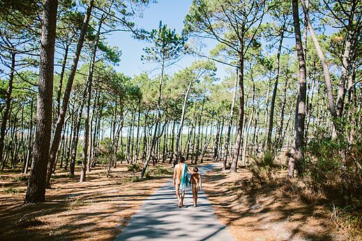 Waldweg und FKK-Spaziergang unter Pinien auf dem Campingplatz LIBRANOO Naturist Arnaoutchot in Veille-Saint-Girons, Landes, Frankreich.