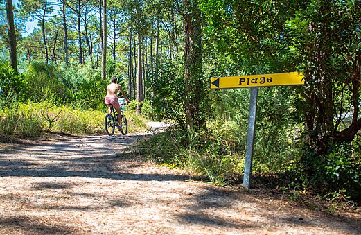 Fietser op bospad richting strand op camping LIBRANOO Naturiste Arnaoutchot.