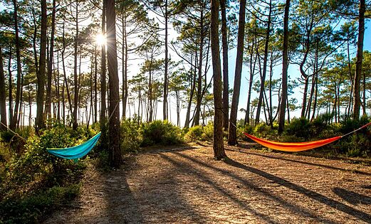 Bunte Hängematten im Pinienwald auf dem Campingplatz LIBRANOO Naturiste Arnaoutchot in Veille-Saint-Girons, Landes, Frankreich.