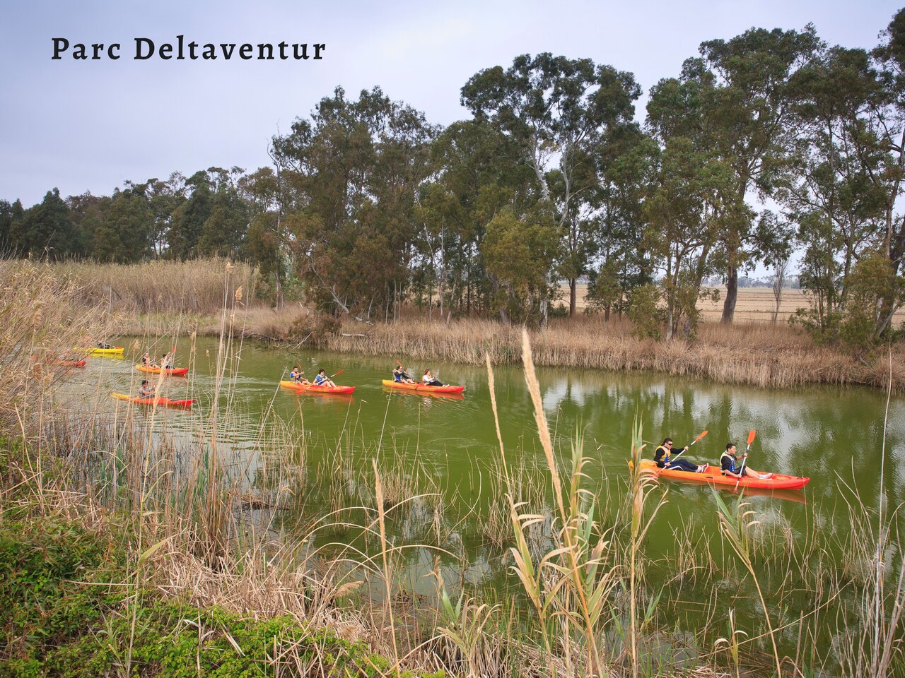 Kajakfahren auf dem Kanal des Parc Deltaventur, Aktivit�t nahe Deltebre, Tarragona.