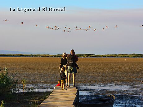 Familie beobachtet Flamingos an der Laguna d'El Garxal, Ebro-Delta.