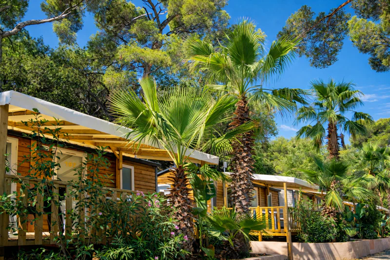 Houten stacaravans, palmbomen, terrassen op camping CLICOCHIC Baie de Cavalaire.