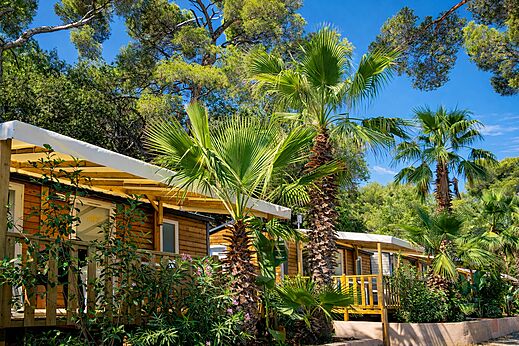 Stacaravans, schaduwrijke terrassen, palmbomen op camping CLICOCHIC Baie de Cavalaire (83).