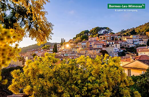 Bloemrijk dorp Bormes-Les-Mimosas met bloeiende mimosa's, Provence-Alpes-C�te d'Azur.