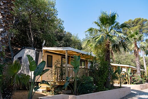 Mobile homes with terraces and palm trees at CLICOCHIC Baie de Cavalaire (83).