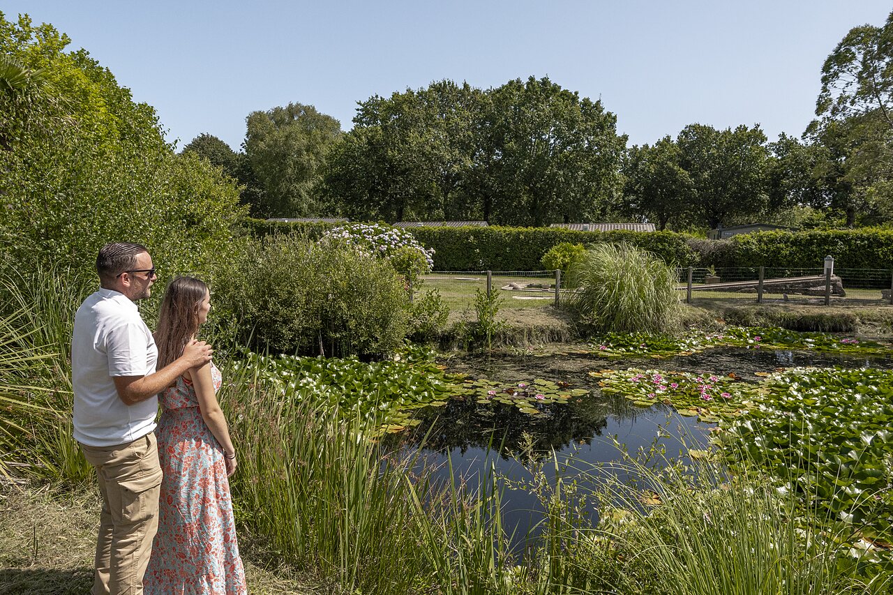 Naturteich, Seerosen, Paar auf Camping CLICOCHIC Baie de Douarnenez in Poullan-sur-Mer.