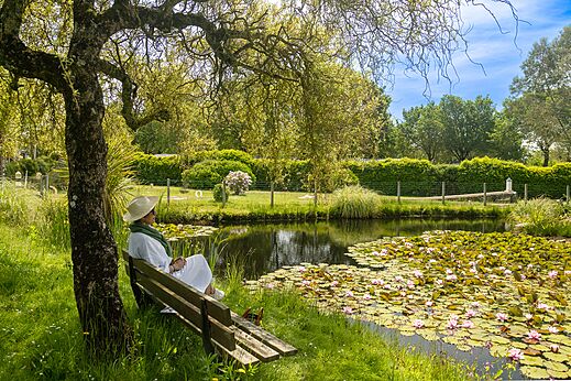 Blühender Teich, Natur im Camping CLICOCHIC Baie de Douarnenez in Poullan-sur-Mer (29).