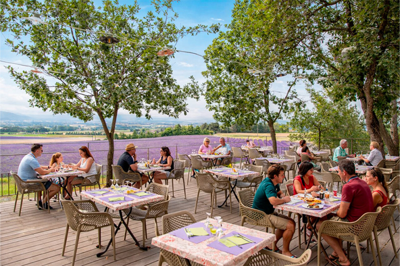 Shaded restaurant terrace, lavender field view, camping CLICOCHIC Bastets Marsanne.