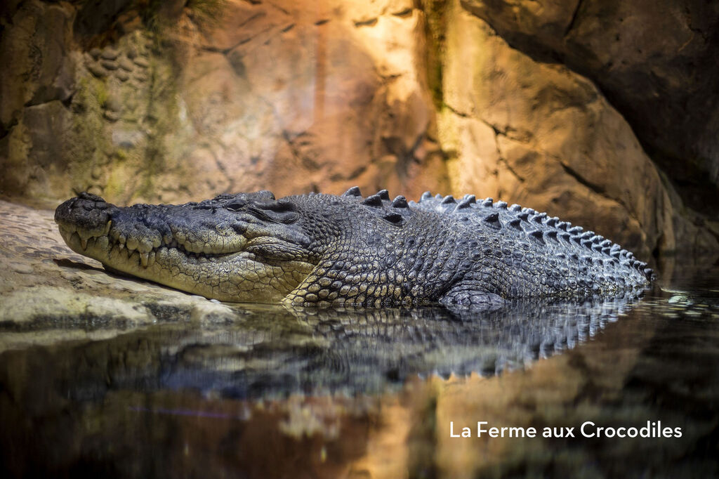 Le Beauregard, Campingplatz Provence-Alpes-Cte d'Azur - 37