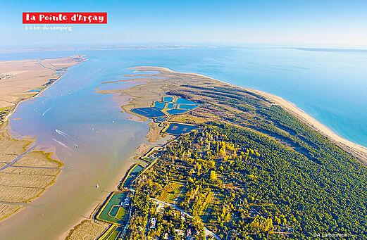 Pointe d'Arçay, wilder Strand, Wald und Mündung nahe Aiguillon-sur-Mer, Vendée.