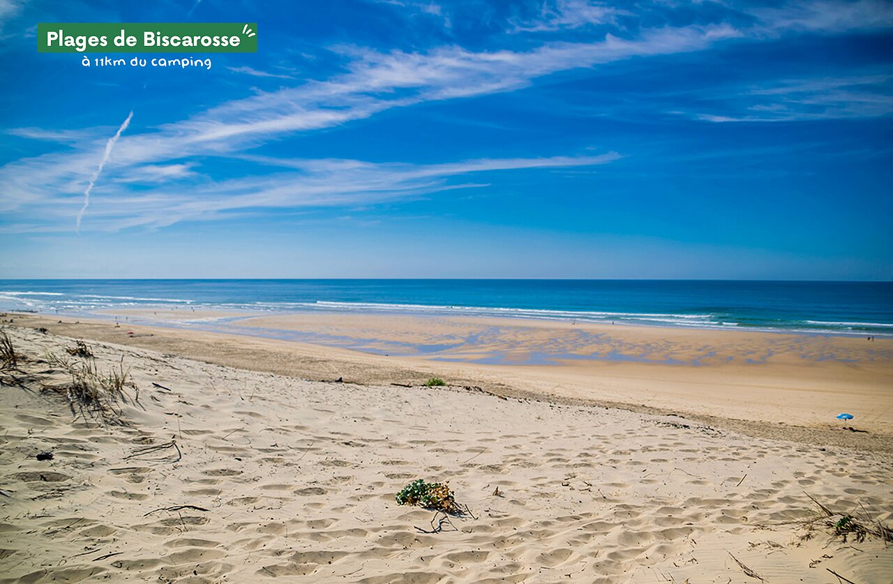 Fine sandy beaches of Biscarrosse, a tourist destination near the campsite.