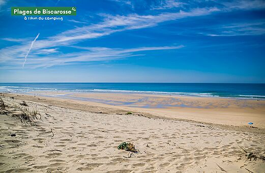 Weitläufiger Sandstrand der Strände von Biscarrosse, Atlantischer Ozean.