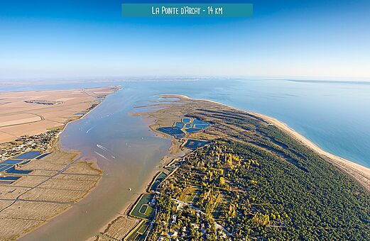 Pointe d'Arcay, K�stenlandschaft und wilde Str�nde nahe La Tranche sur Mer (85).