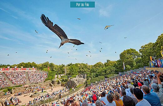 Gro�e Vogelschau in der Luft im Puy du Fou Park, Vend�e.