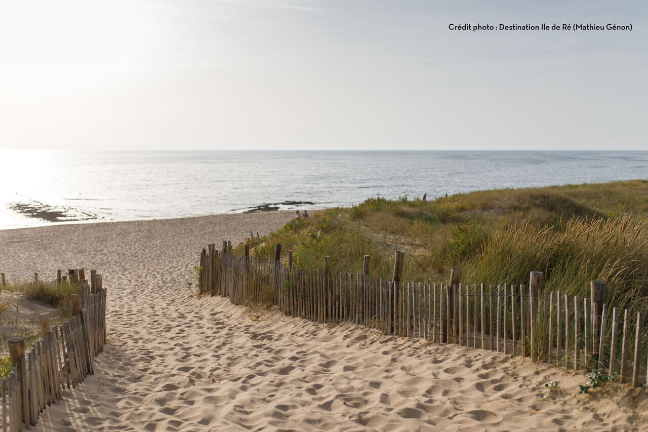 Zandstrand, duinen en oceaan, op camping CAPFUN Bonne Etoile in BOIS PLAGE EN RE (17).