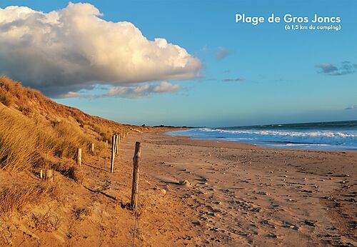 Plage de Gros Joncs mit D�nen und Ozean, in Bois-Plage-en-R�, �le de R�.