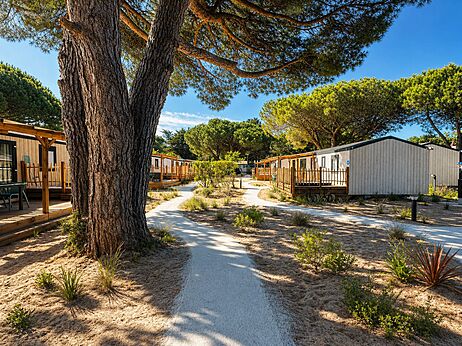 Moderne Mobilheime mit Holzterrassen und Sandwegen auf dem Campingplatz CAPFUN Bonne Etoile in BOIS PLAGE EN RE (17).