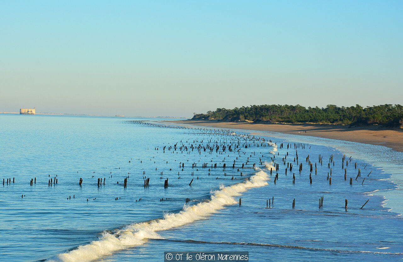 Cabanes d Ol�ron, Campingplatz Poitou Charentes - 27