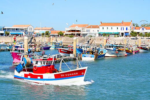 Belebter Fischerhafen mit bunten Booten und traditionellen H�usern am Meer.
