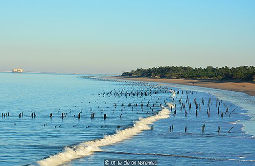 Sandstrand, Pf�hle im Meer auf dem Campingplatz CLICOCHIC Cabanes d Ol�ron in ST GEORGES D'OLERON (17).