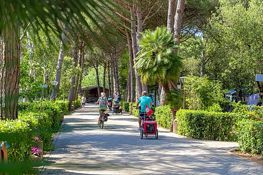 Schattiger Radweg mit Radfahrern auf dem Campingplatz CAPFUN Campo dei Fiori in Rosignano Marittimo (57).