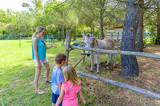Esel und Kinder am CAPFUN Campo dei Fiori in Rosignano Marittimo (57).