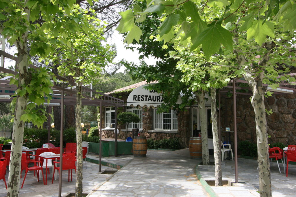 El Canto La Gallina, Campingplatz Communauté de Madrid - 11