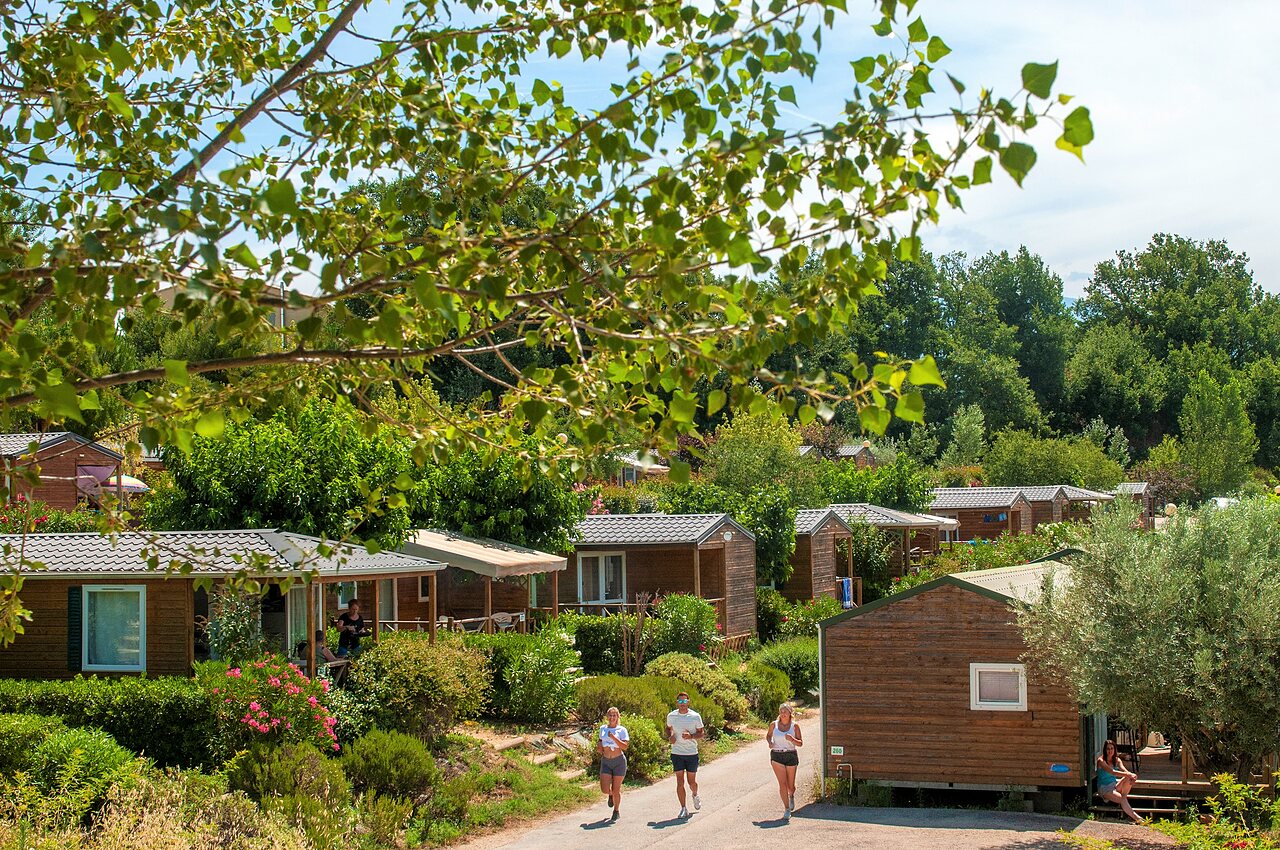 Holz-Mobil-homes, �ppige Vegetation und Jogger auf CAPFUN Carpe Diem in VAISON LA ROMAINE (84).