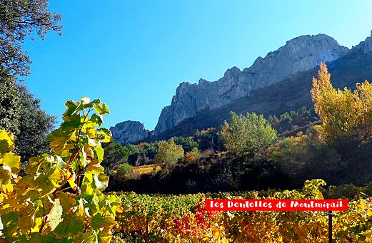Les Dentelles de Montmirail, farbenfrohe Weinberge in der Provence nahe Vaison-la-Romaine.