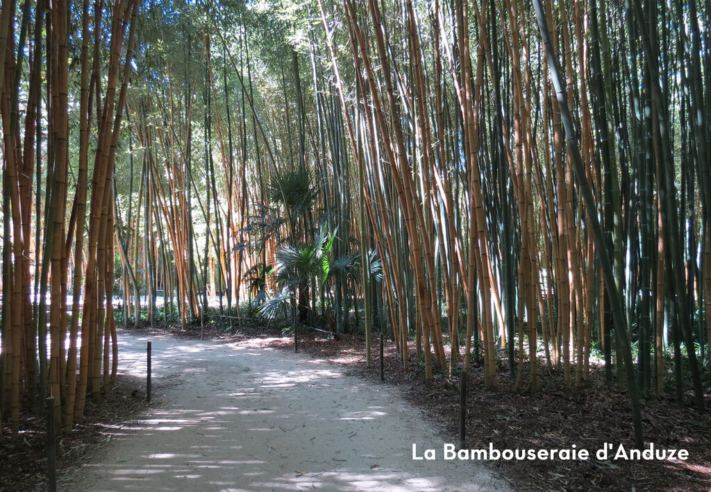 Chteau de Boisson, Campingplatz Languedoc Roussillon - 15