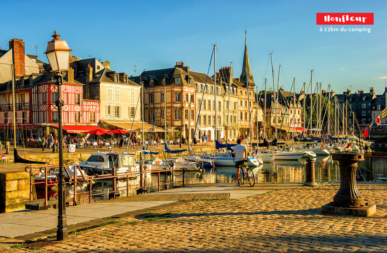 Port pittoresque de Honfleur avec ses maisons color�es, � visiter pr�s du camping.