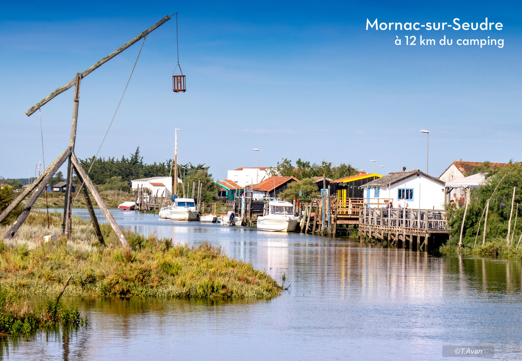 Les Chnes, Holiday Park Poitou Charentes - 10