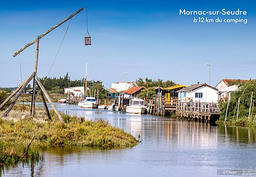 Village pittoresque de Mornac-sur-Seudre avec canal, bateaux et cabanes ostr�icoles en Charente-Maritime.