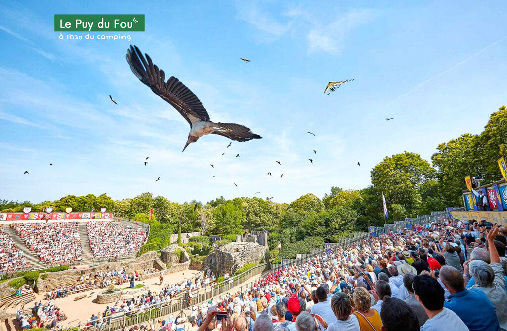 Les Chouans, Camping Pays de la Loire - 35
