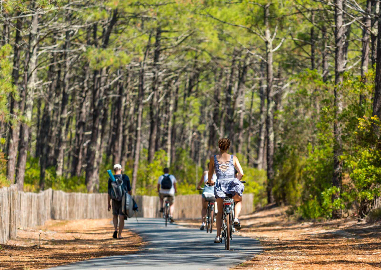 Forest bike path, cyclists and walkers at VAGUES OCEANES Les Cigales campsite, Moliets.