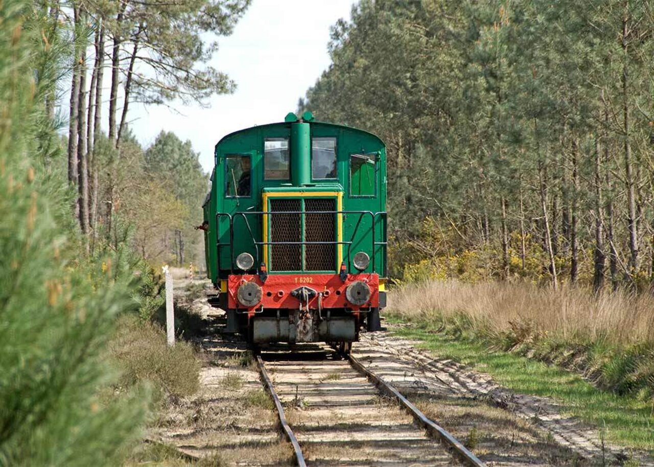 Green train in forest at VAGUES OCEANES Les Cigales, Moliets-Plage.