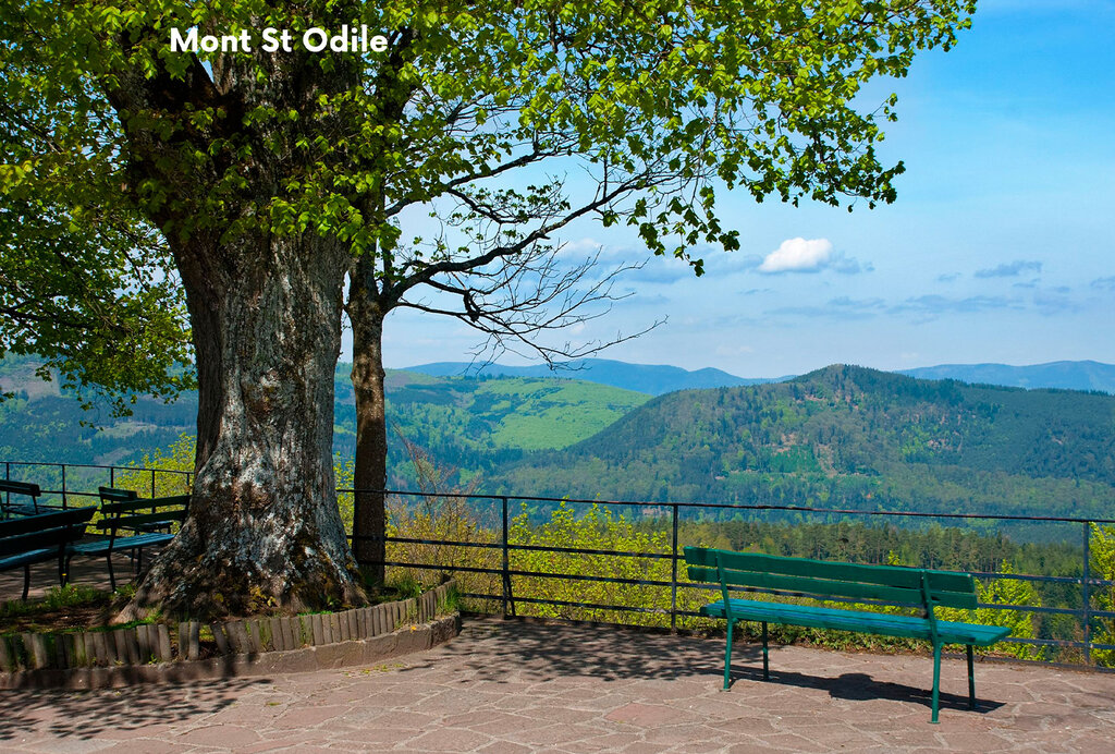 Au Clair Ruisseau, Campingplatz Elsass - 16