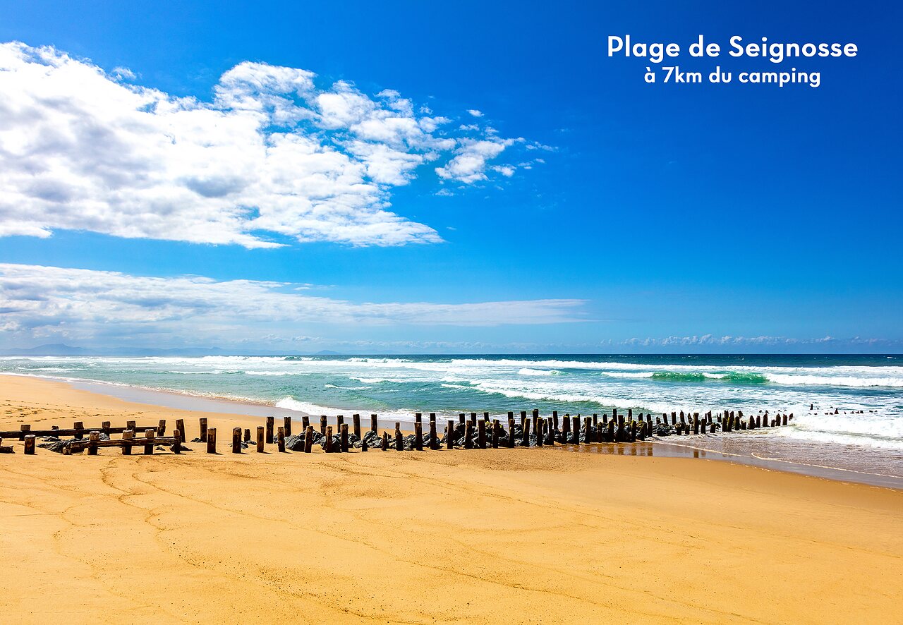 Strand von Seignosse, feiner Sand, Atlantik und h�lzerne Wellenbrecher, Landes.