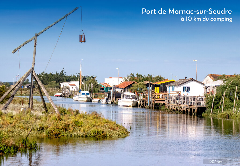 Coquelicots Mini Villas, Holiday Park Poitou Charentes - 11