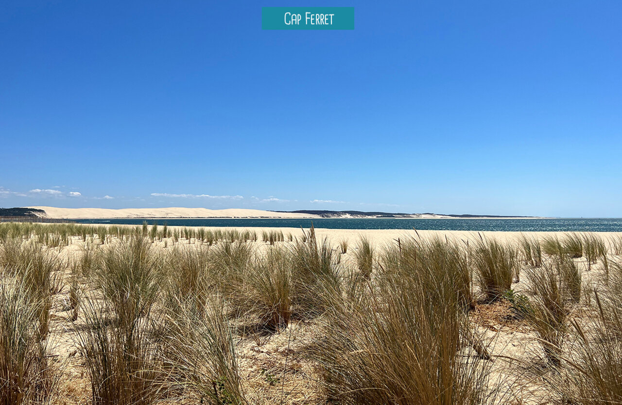 Wild beach and dunes of Cap Ferret, a place to visit near the campsite.