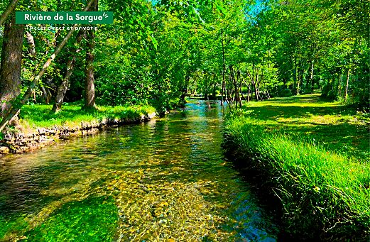 Fluss Sorgue, klares Wasser und üppiges Grün auf dem Campingplatz CLICOCHIC Coutelière in Lagnes (84).