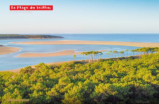 Strand von Veillon, Mündung und Pinienwald nahe Jard sur Mer (85).