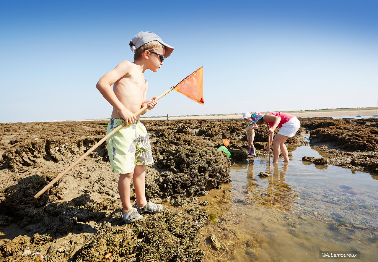 Wattfischen am Felsstrand, Camping CAPFUN Dauphins Bleus GIVRAND (85).