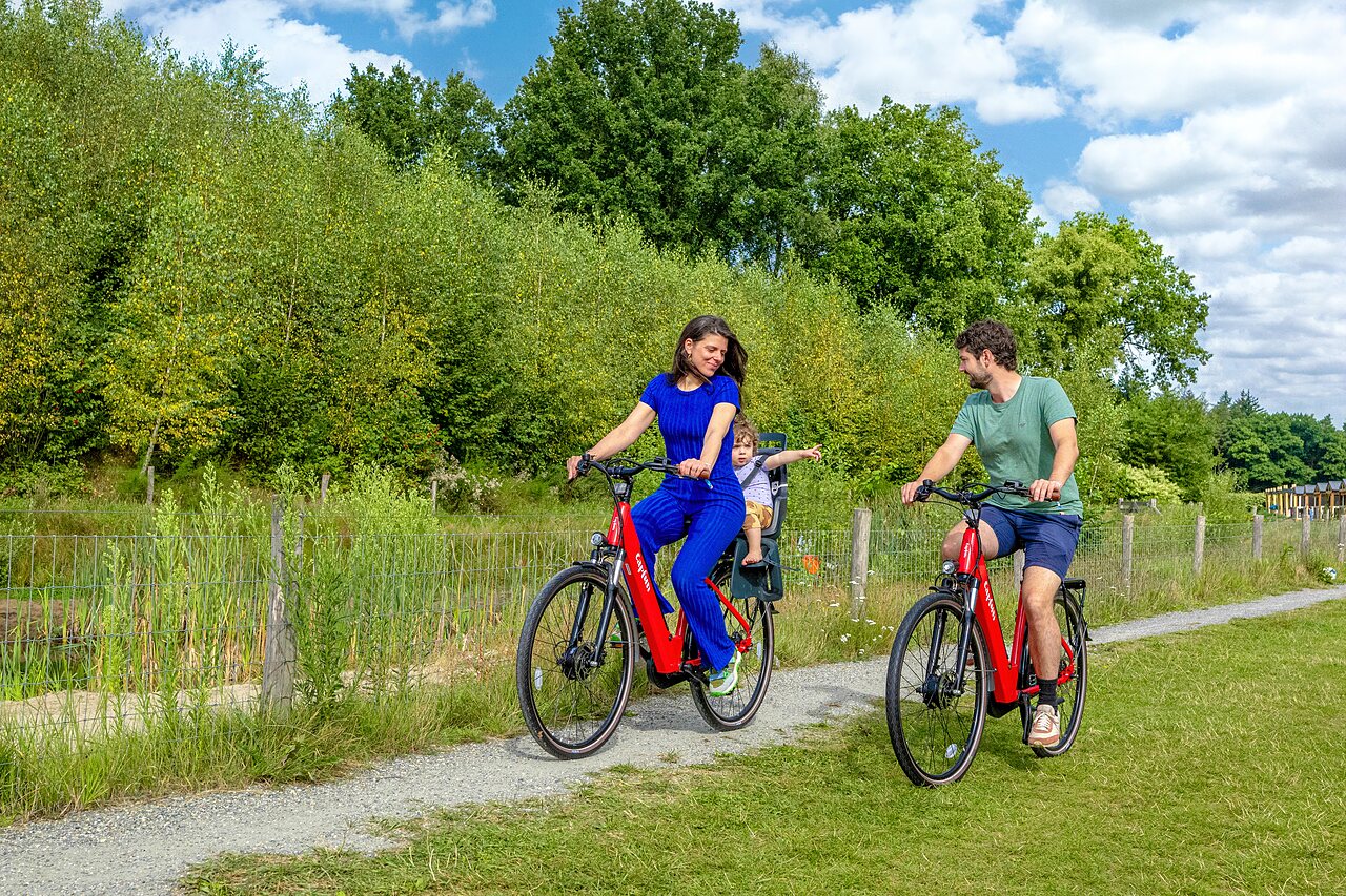 Familie f�hrt Fahrrad mit Kind auf Weg am Camping CAPFUN De Belten in Rheeze.