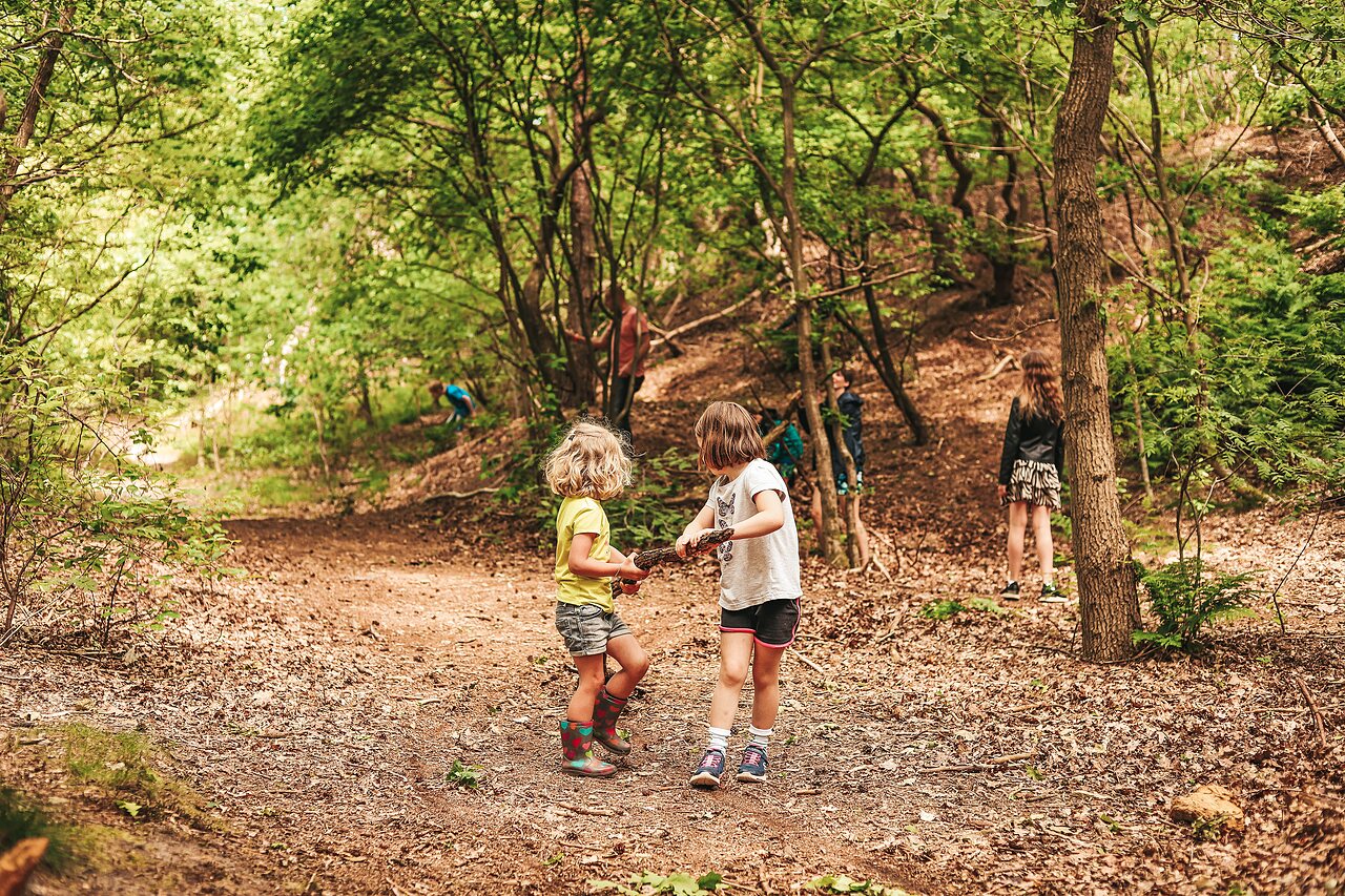 Kinder spielen mit St�cken im Wald auf dem Campingplatz CAPFUN De Belten in Rheeze.
