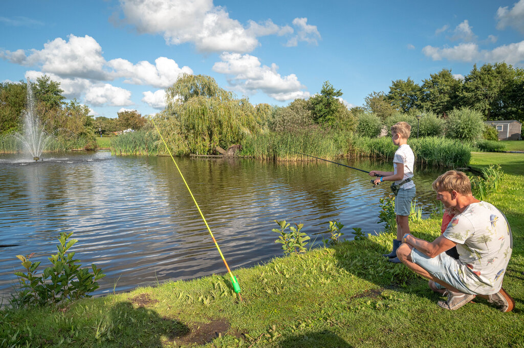 De Bongerd, Campingplatz Noord-Holland - 18