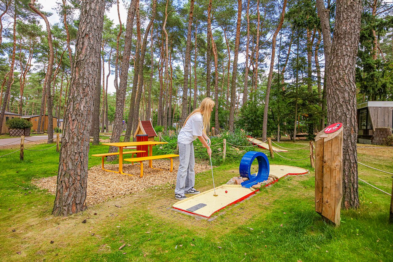 Person spielt Minigolf zwischen Kiefern am Campingplatz CAPFUN De Scheepsbel in Doornspijk.